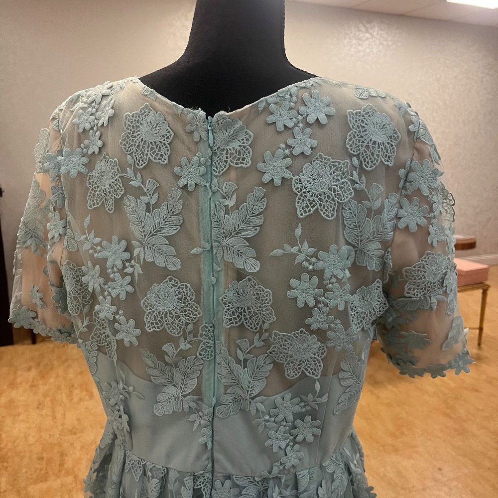 Monique Lhuillier Lace Pattern Long Light Blue Floral Mesh Fit Flare - Picture 5 of 8